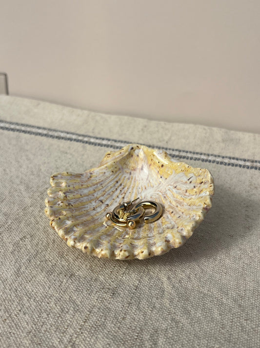 Seashell Ring Holder