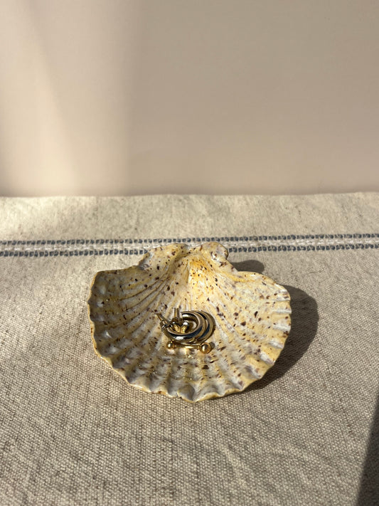 Seashell Ring Dish