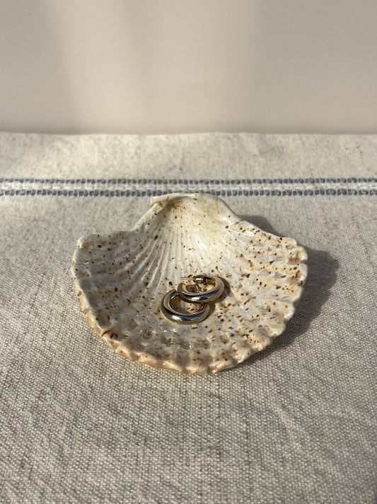 Seashell Ring Holder